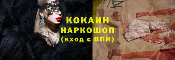 шишки Алзамай