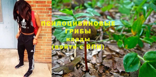 PSILOCYBIN Алексеевка