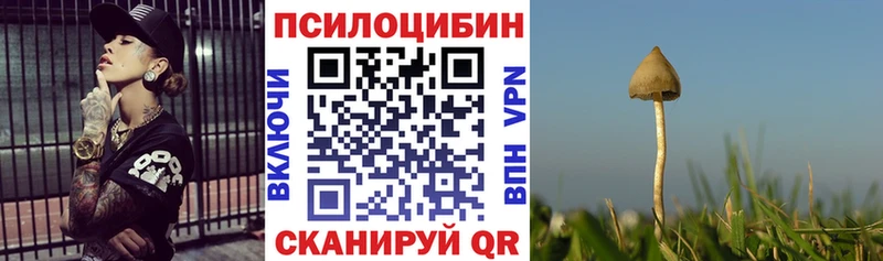 наркошоп  Дудинка  Галлюциногенные грибы Cubensis 